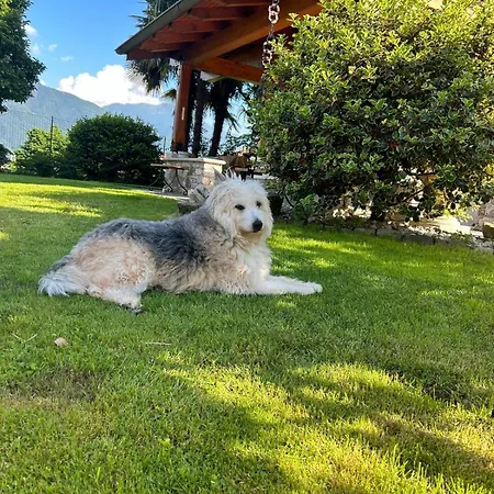 Lägenhet Casa Angela Dongo