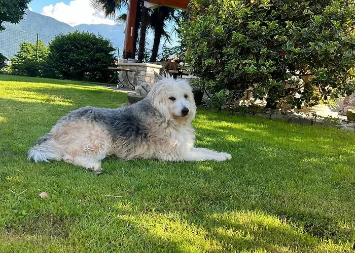 Διαμέρισμα Casa Angela Dongo